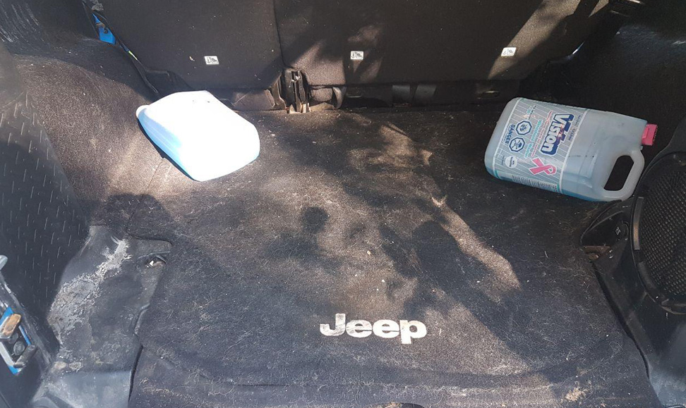 How To Remove Mold From Trunk Of Car