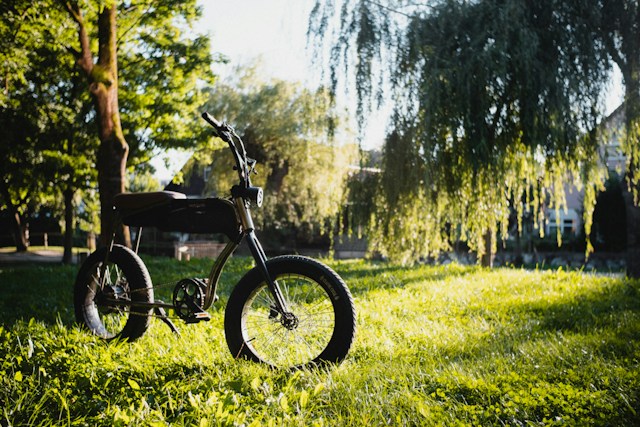 Eco-Commuting with E-Bikes A Sustainable Guide to Efficient Urban Travel