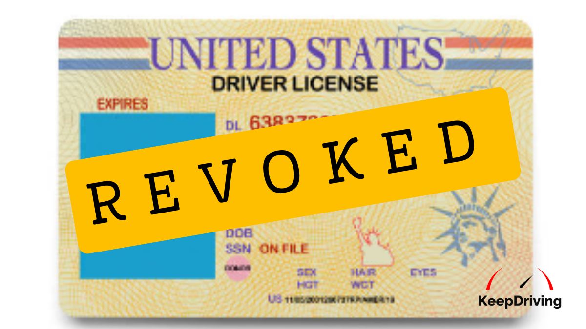 License Revocation