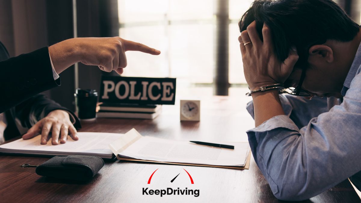 Repeat Offender Statistics Key Insights
