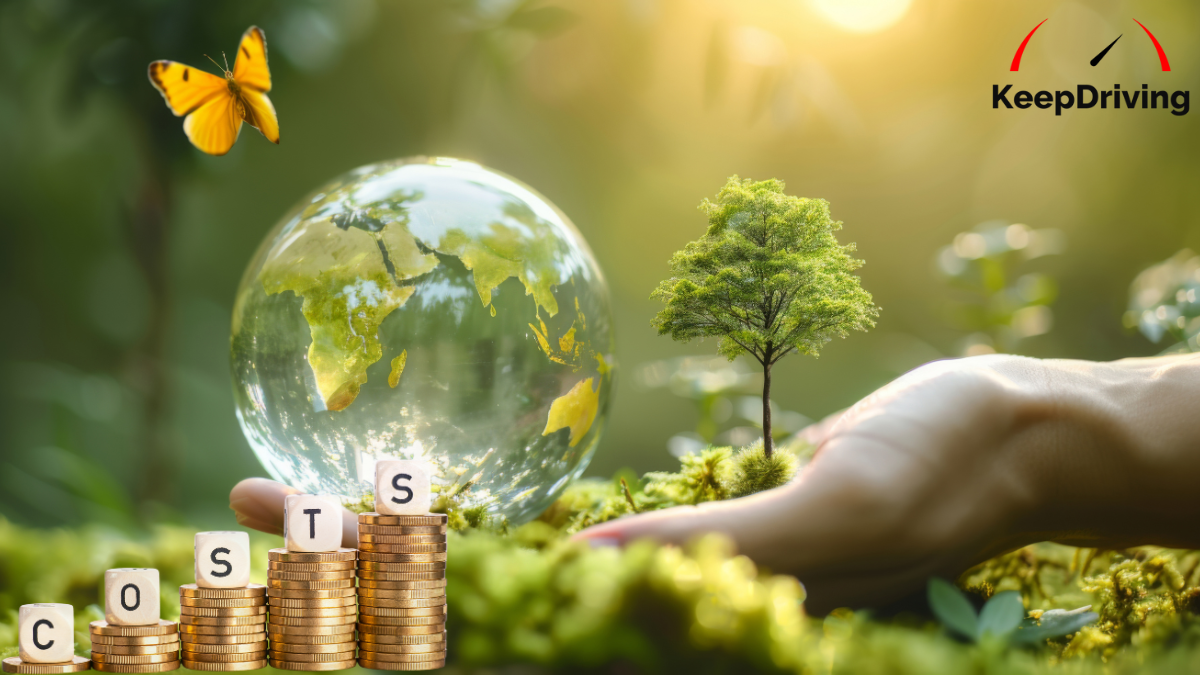 Environmental Impact and Associated Costs