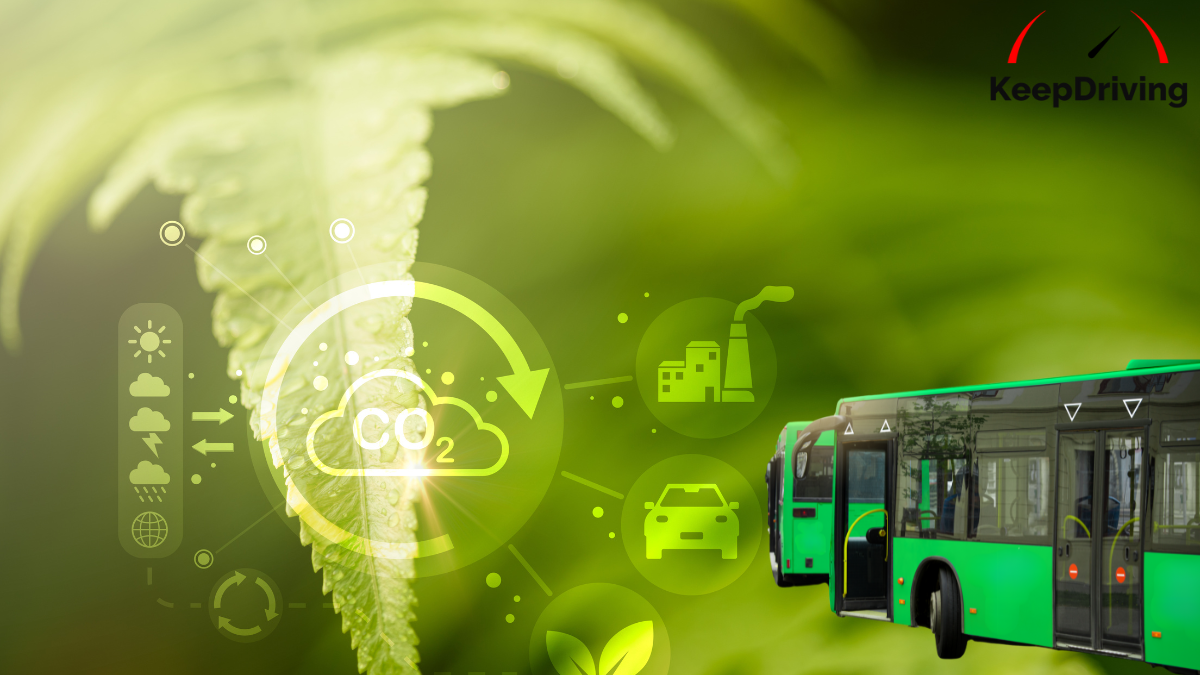 The Role of Electric Buses in Reducing Carbon Emissions